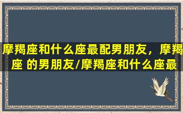 摩羯座和什么座最配男朋友，摩羯座 的男朋友/摩羯座和什么座最配男朋友，摩羯座 的男朋友-我的网站